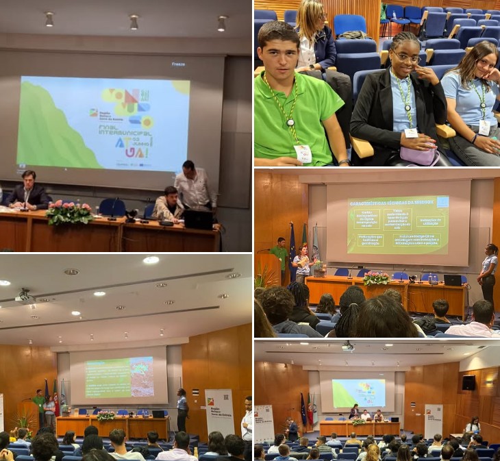 Captura de ecrã 2025 07 02 115537