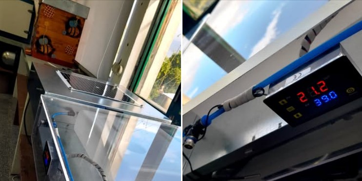 Captura de ecrã 2025 11 13 114304