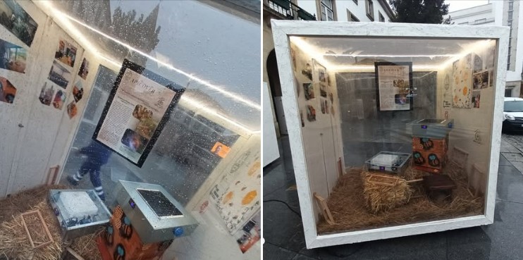 Captura de ecrã 2025 11 13 114721