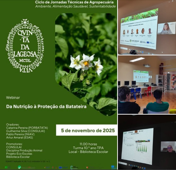 Captura de ecrã 2025 11 17 114718