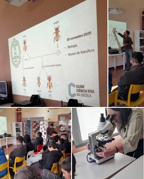 Captura de ecrã 2025 12 09 154450