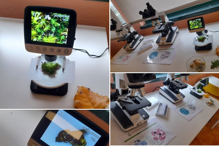 Captura de ecrã 2025 12 09 155240