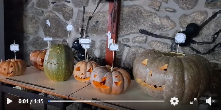 Captura de ecrã 2025 12 15 100815