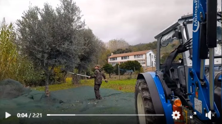 Captura de ecrã 2025 12 15 101504