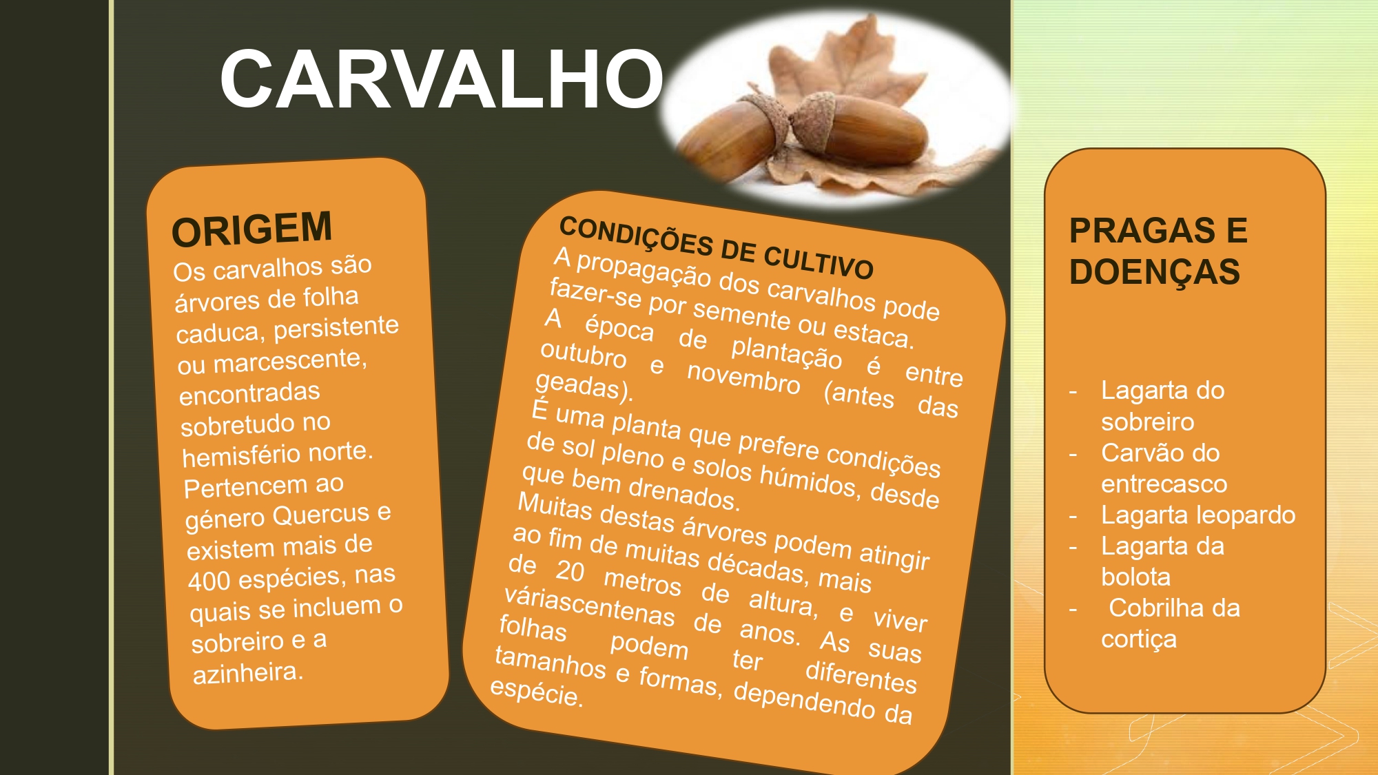 Ficha carvalho page 0001